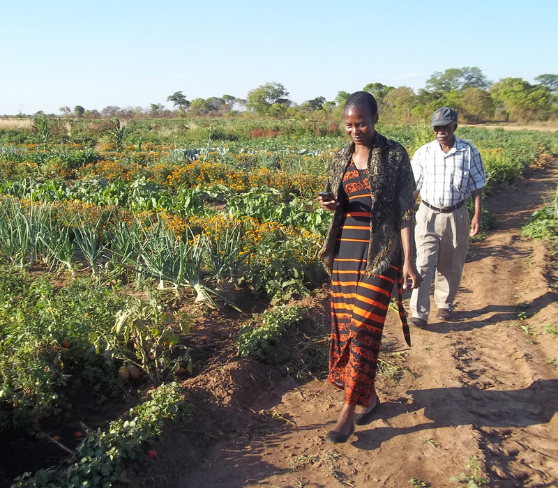 smallholder-farmers