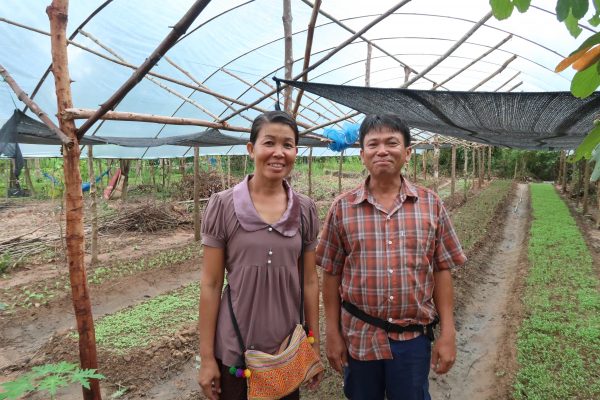 Organic Farming in Laos