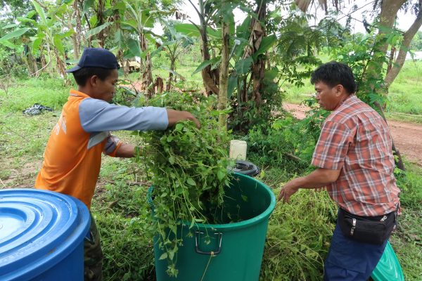 Organic farmers from Laos