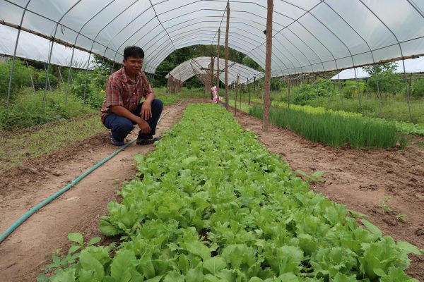 Organic farmers from Laos
