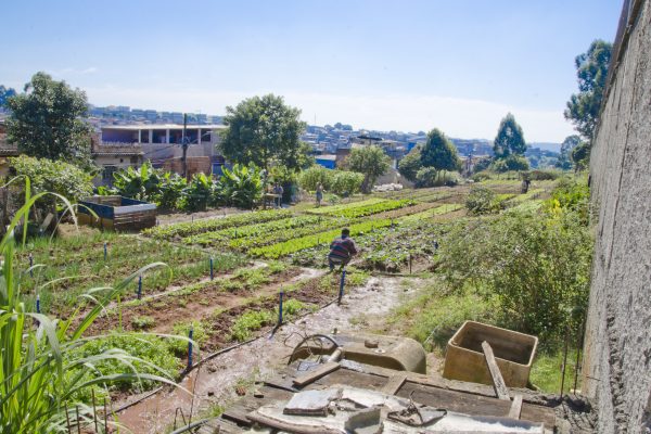 turning-urban-land-community-gardens-sao-paulo