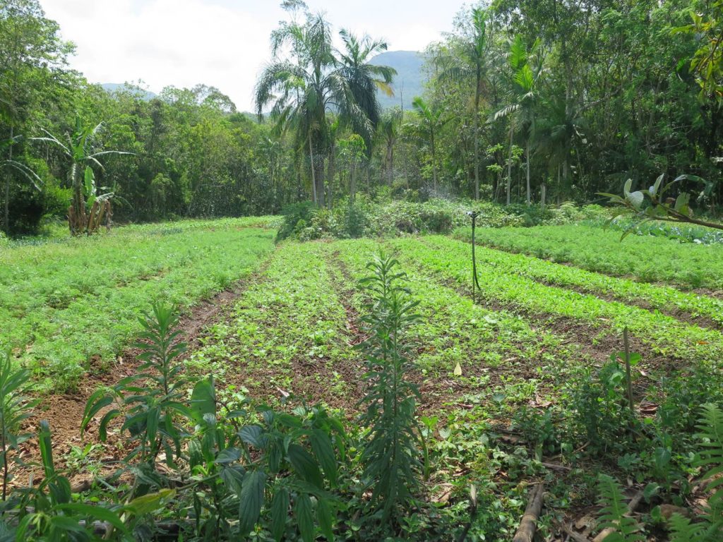 agroecological-farmers