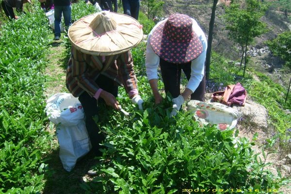 food-security