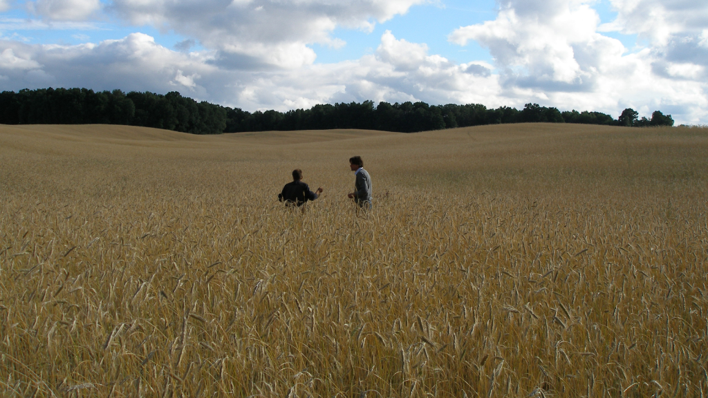 Increasing Biodiversity & Growing a Profitable Crop on the USA’s Grasslands