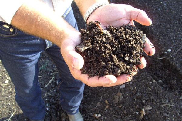 World Soil Day: How Organic can be a Solution to Soil Pollution