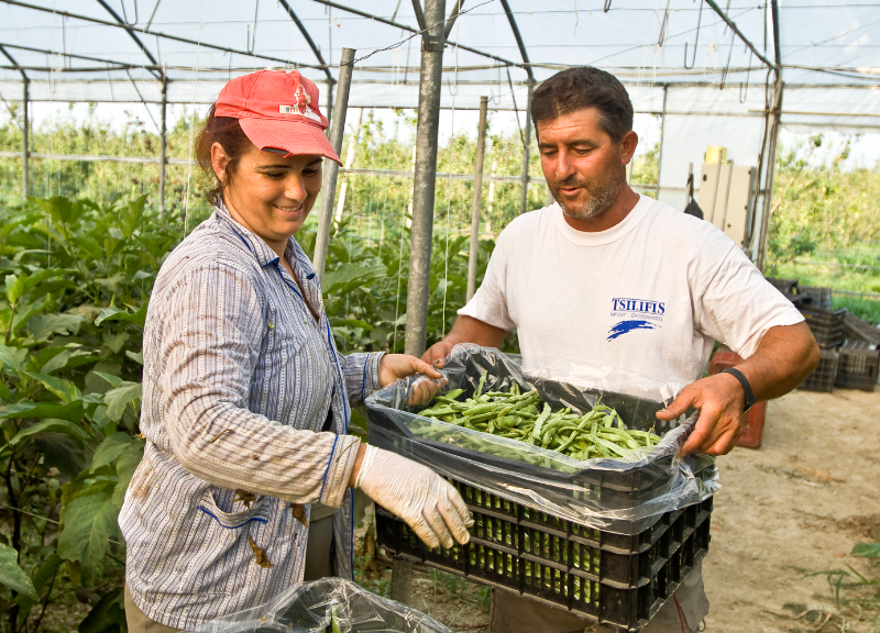 How supporting certification can help level the playing field for organic