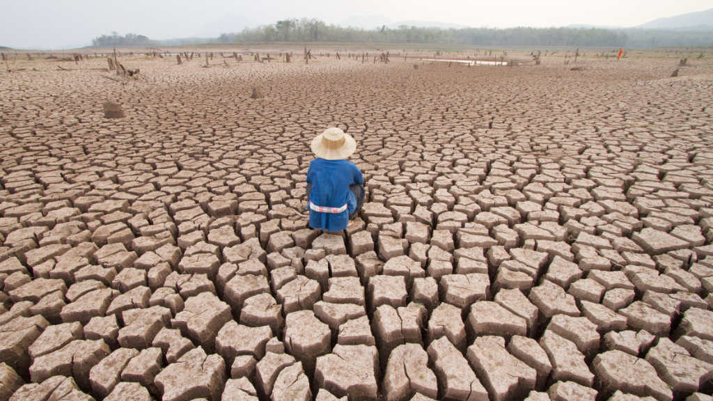 World Soil Day: How Organic can be a Solution to Soil Pollution