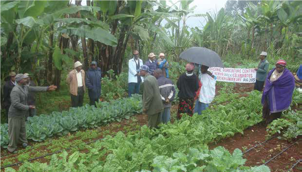 A Natural Way to Increase Drought and Disease Resistance