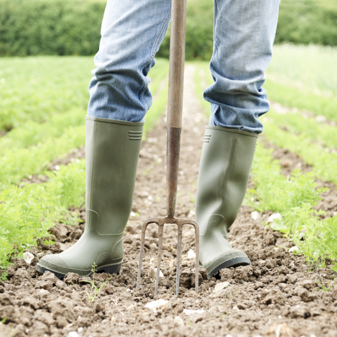 How policies supporting investment can ease the transition to organic farming