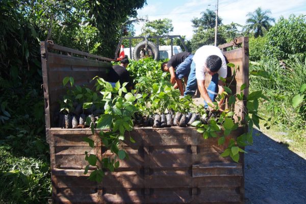 Empowering Local Communities through Sustainable Forest Products in the Amazon