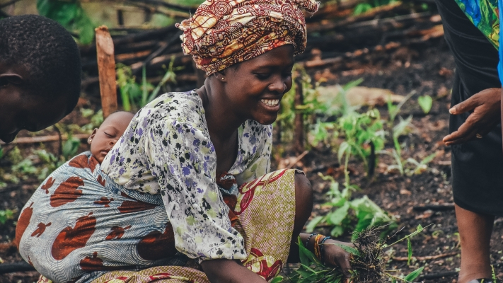 Shaping an Organic Future in Ghana