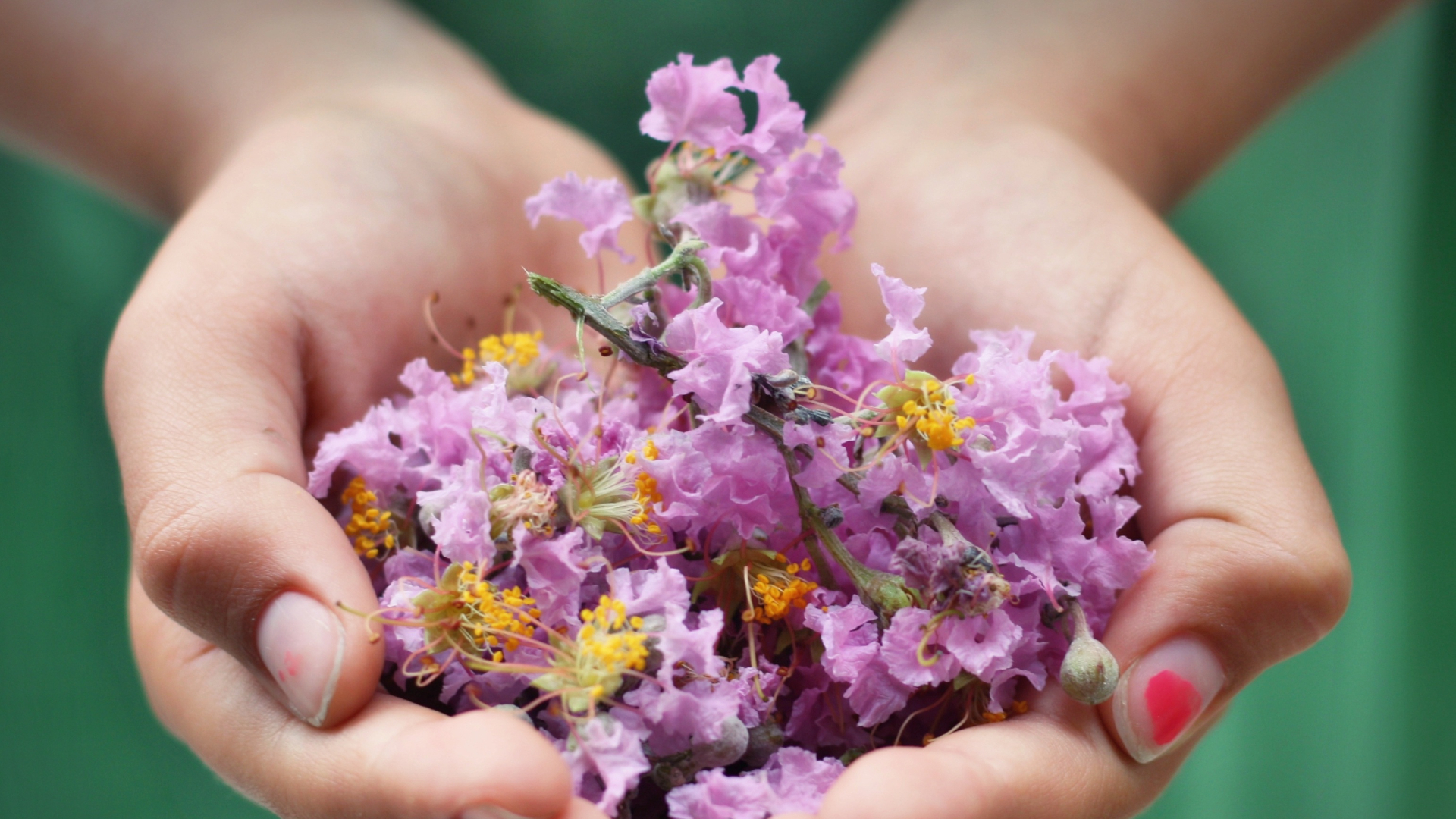 International Women’s Day: How Women Farmers are Contributing to Sustainable Development Goals