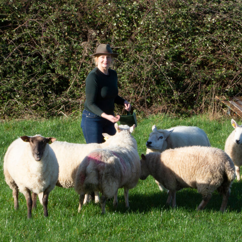 Organic Farmer