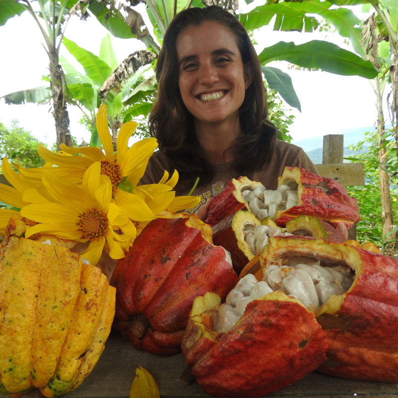 cultivating-organic-cacao