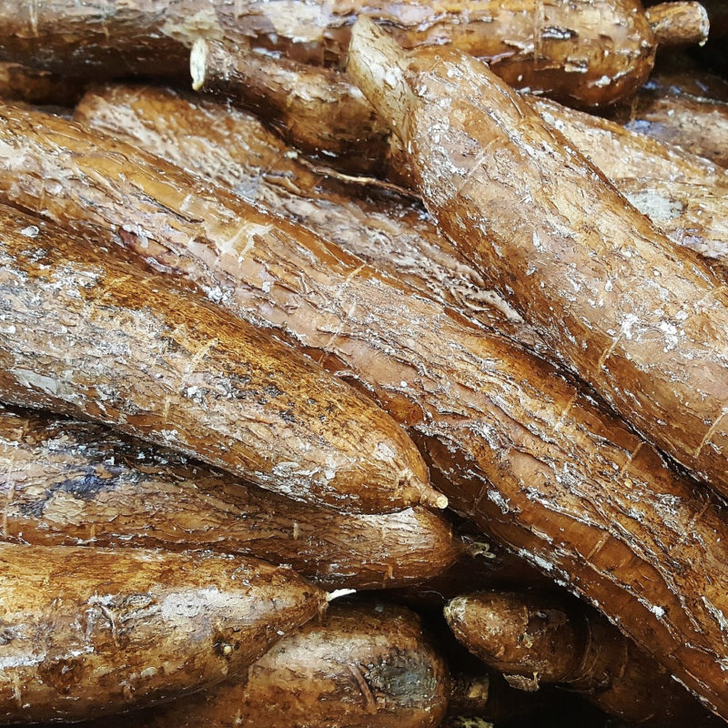 cassava-tropics-bread