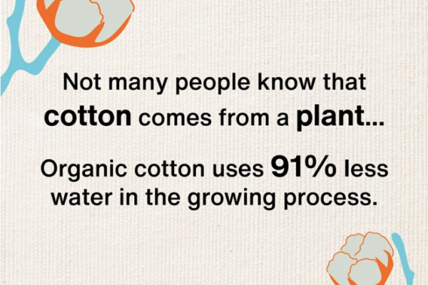 Soil Association Organic Cotton