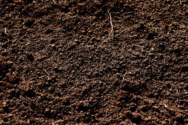 Soil, not dirt