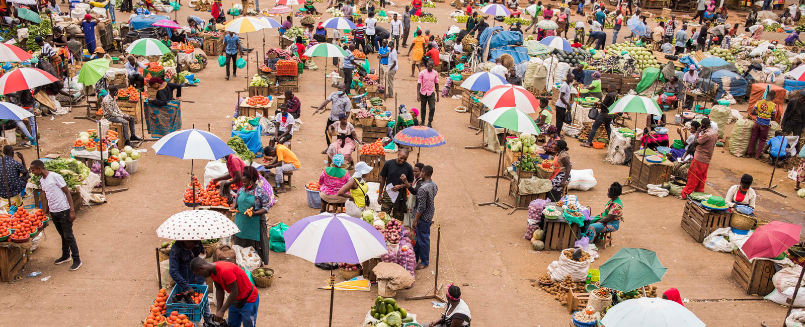 The Resilience of Smallholder Farmers in Times of Crisis