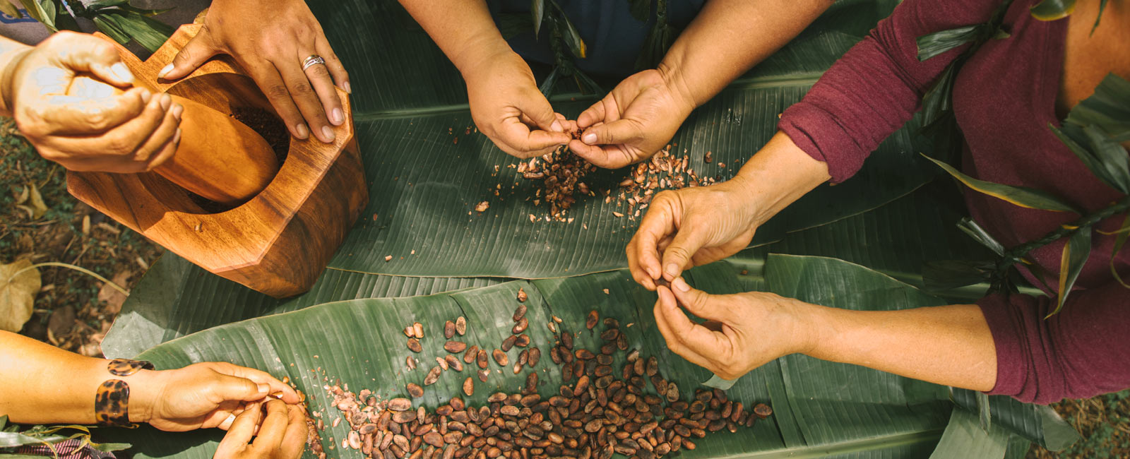 The Bittersweet Life of an Organic Woman Farmer in Samoa (Part 2)