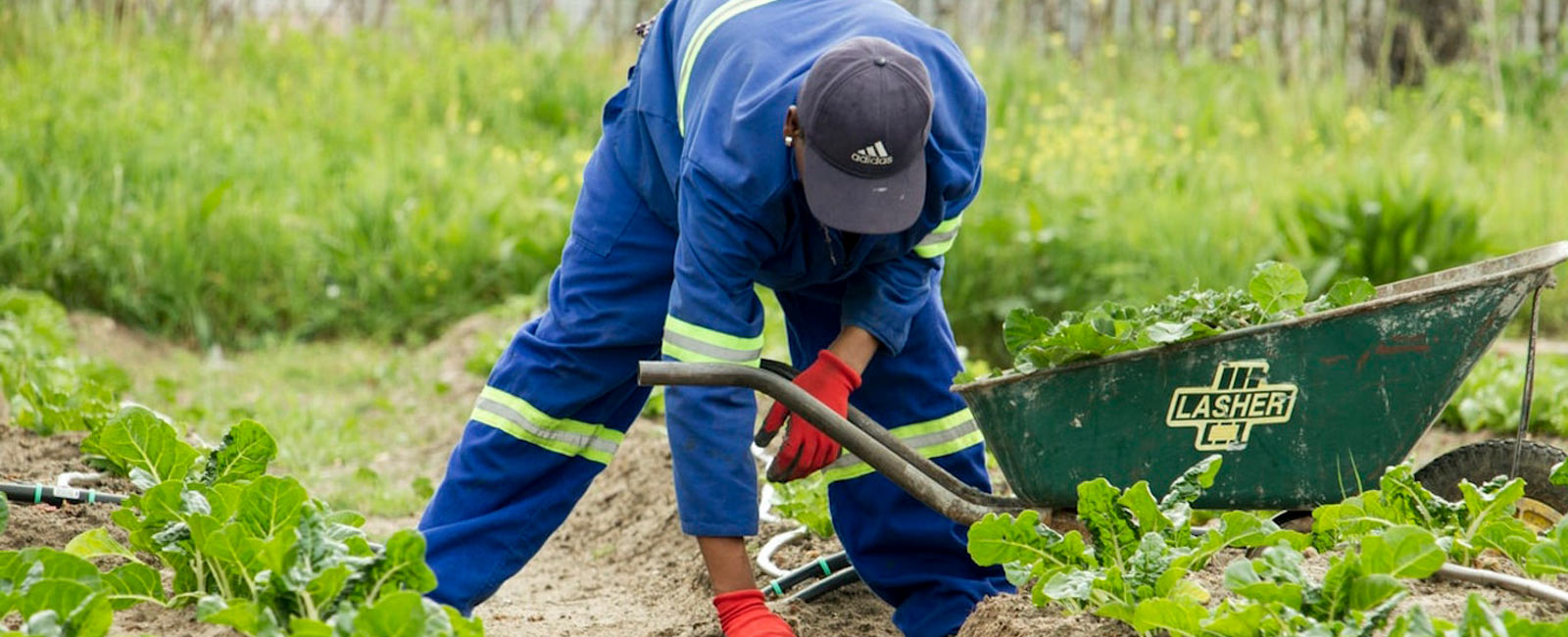 We All Have the Right to Food Grown Without Toxic Pesticides