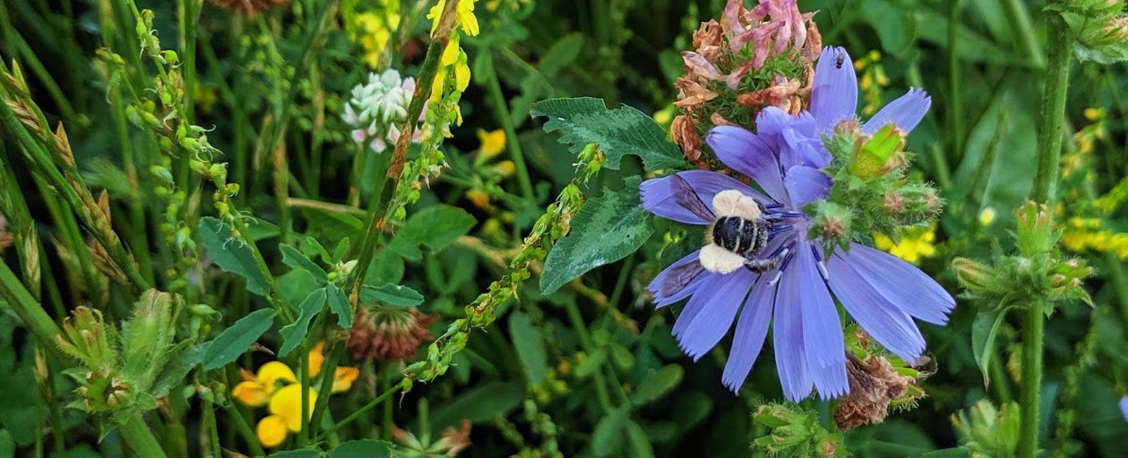 How I Place Nature at the Heart of Farming!