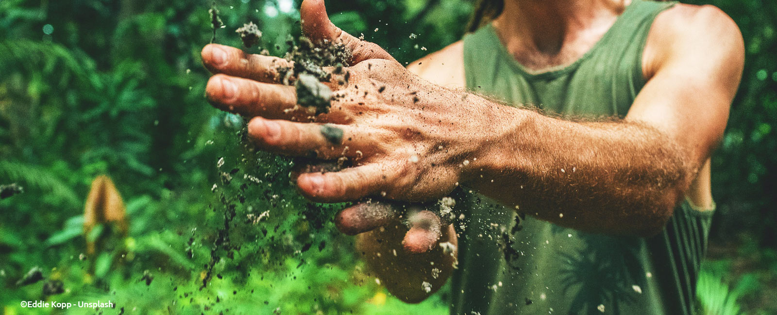 The Importance of Nurturing Soil and Prioritising its Care in Organic Farming