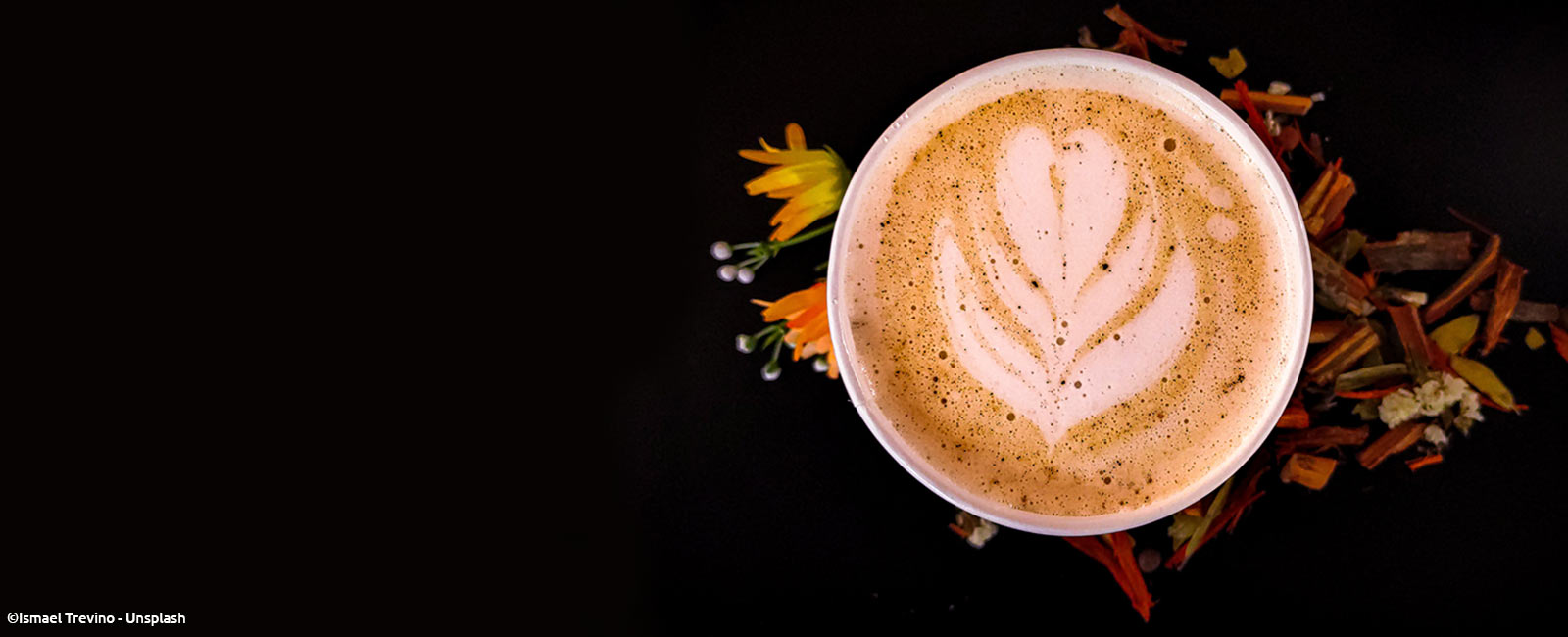 Advocating For Sustainability Through Organic And Fairtrade Movements