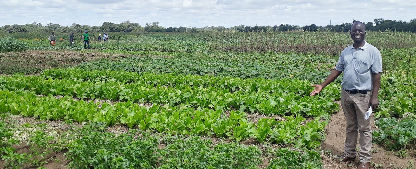 Empowering Organic Leaders to Promote Sustainability in Zambia and Zimbabwe