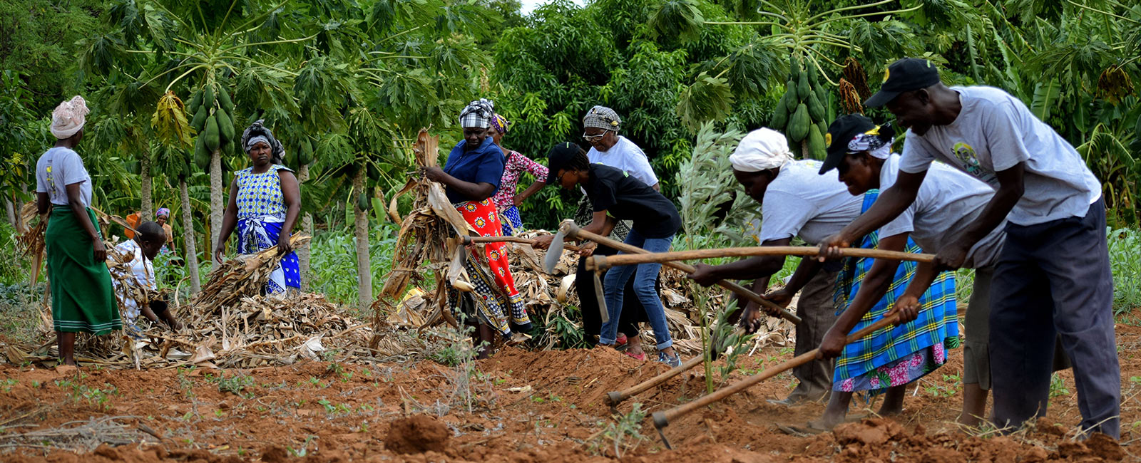 Knowledge on Sustainable Farming Should be Accessible to All