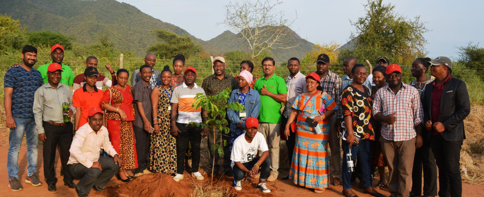 The African Organic Network: Steering Organic on the Continent