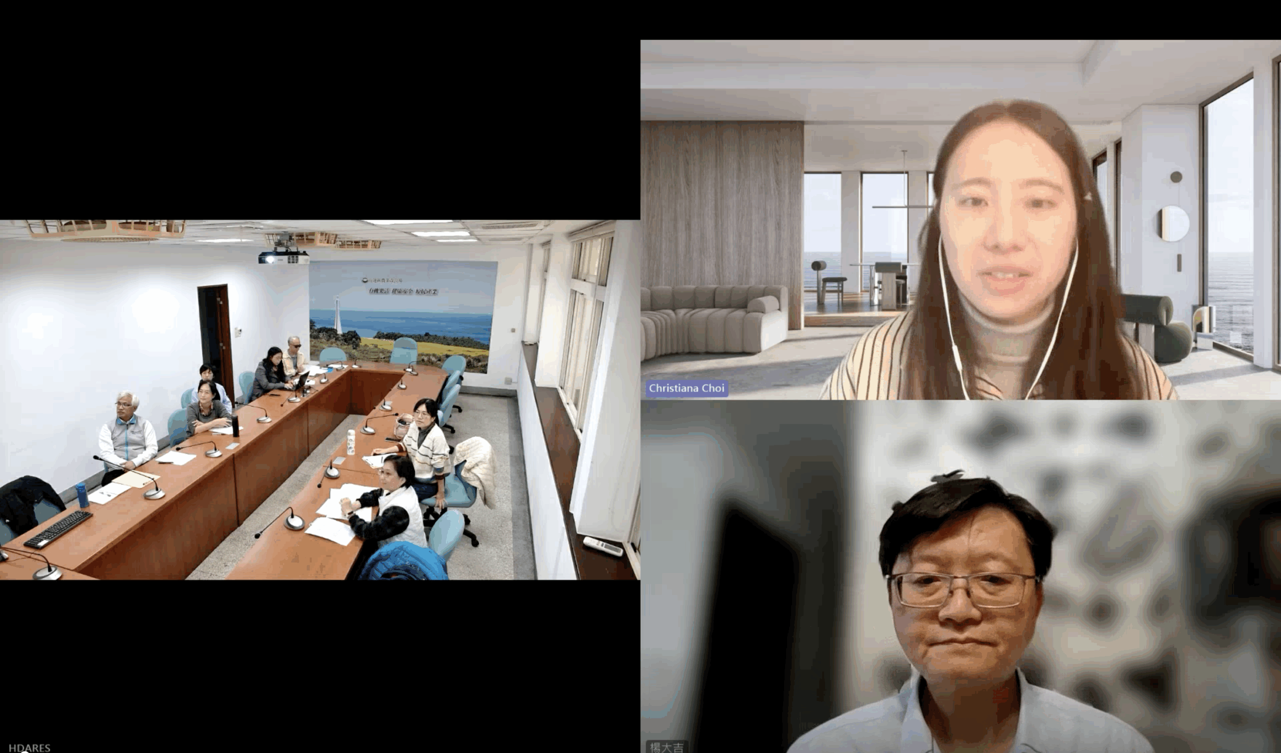 Video call with HDARES team