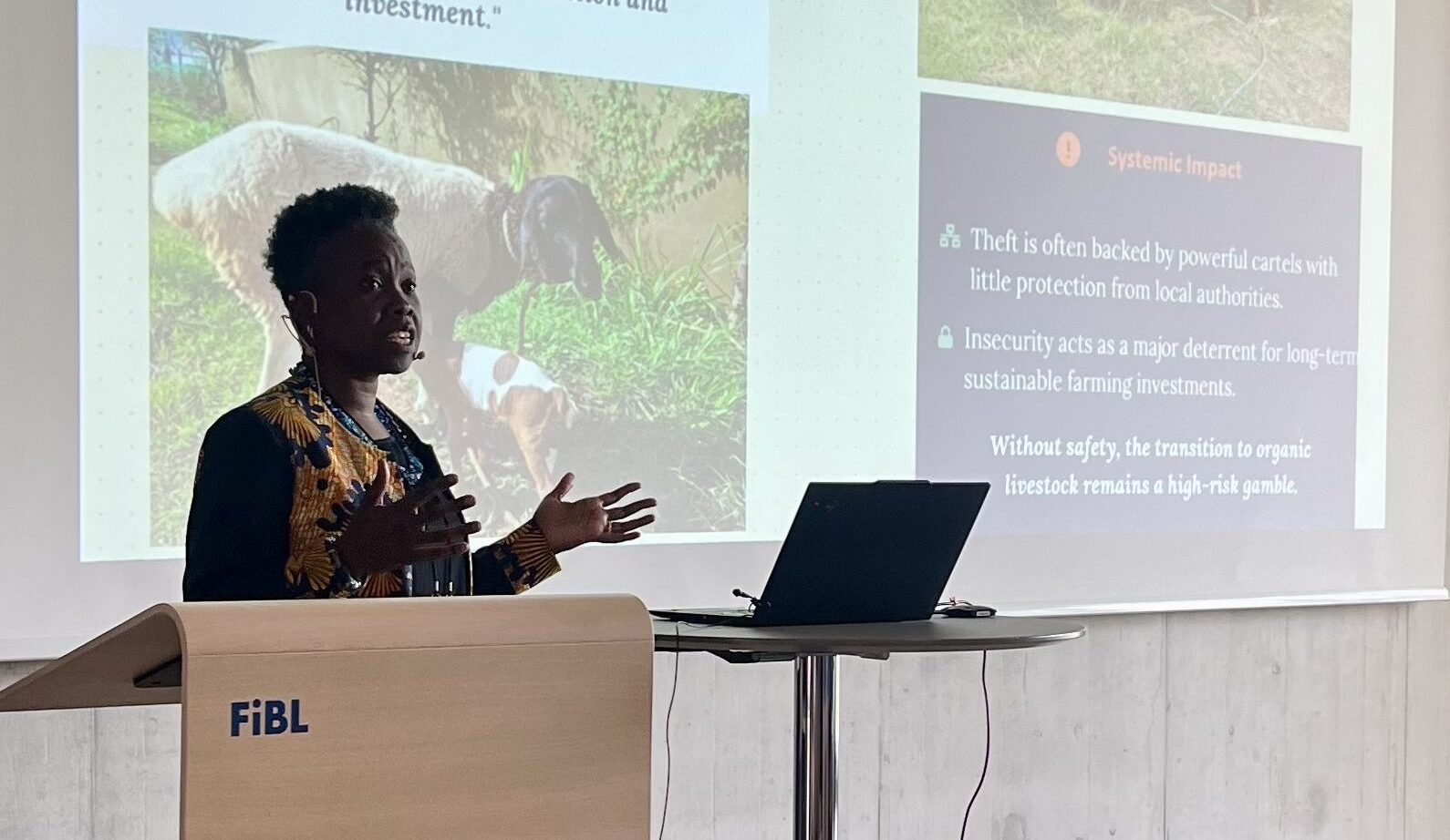 From African representation to context-appropriate standard